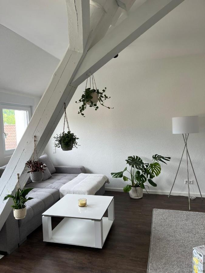 Stauffenberg Apartments アルプシュタット エクステリア 写真