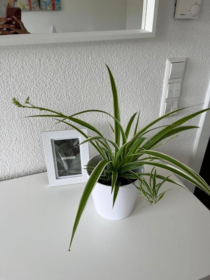 Stauffenberg Apartments アルプシュタット エクステリア 写真